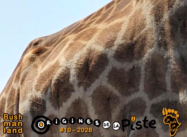 Slide_Bushmanland01-10