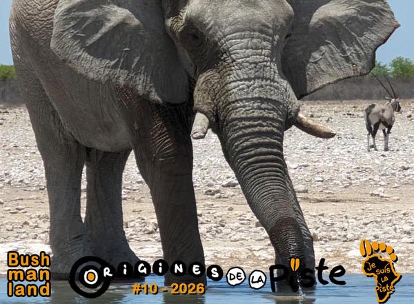 Slide_Bushmanland01-11