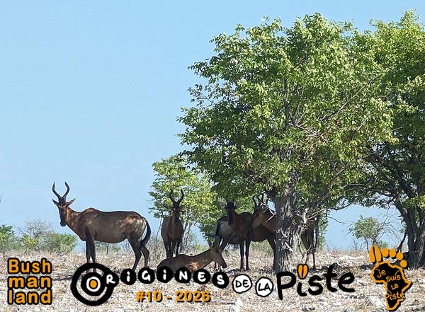 Slide_Bushmanland01-12