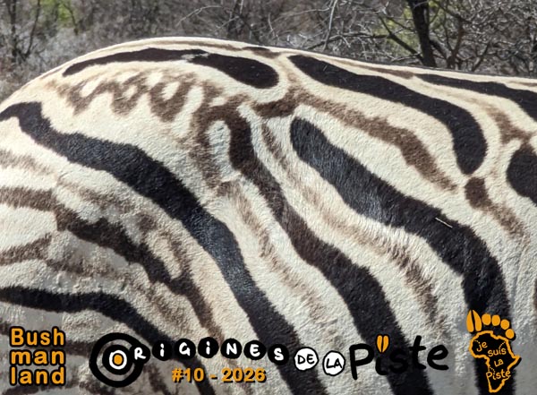 Slide_Bushmanland01-13