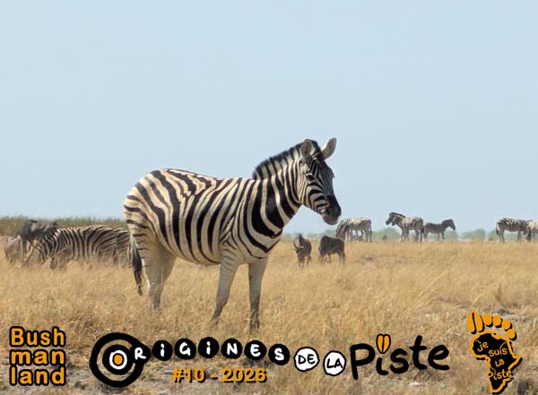 Slide_Bushmanland01-14