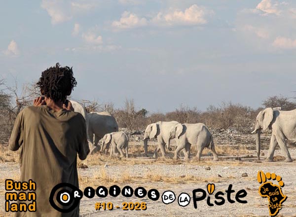 Slide_Bushmanland01-28