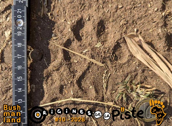 Slide_Bushmanland01-39