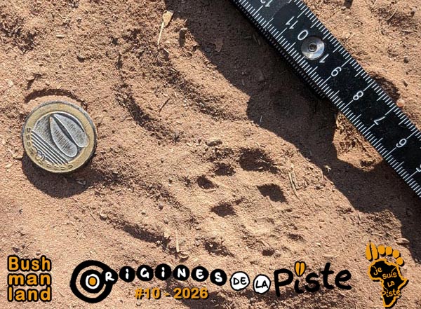 Slide_Bushmanland01-40