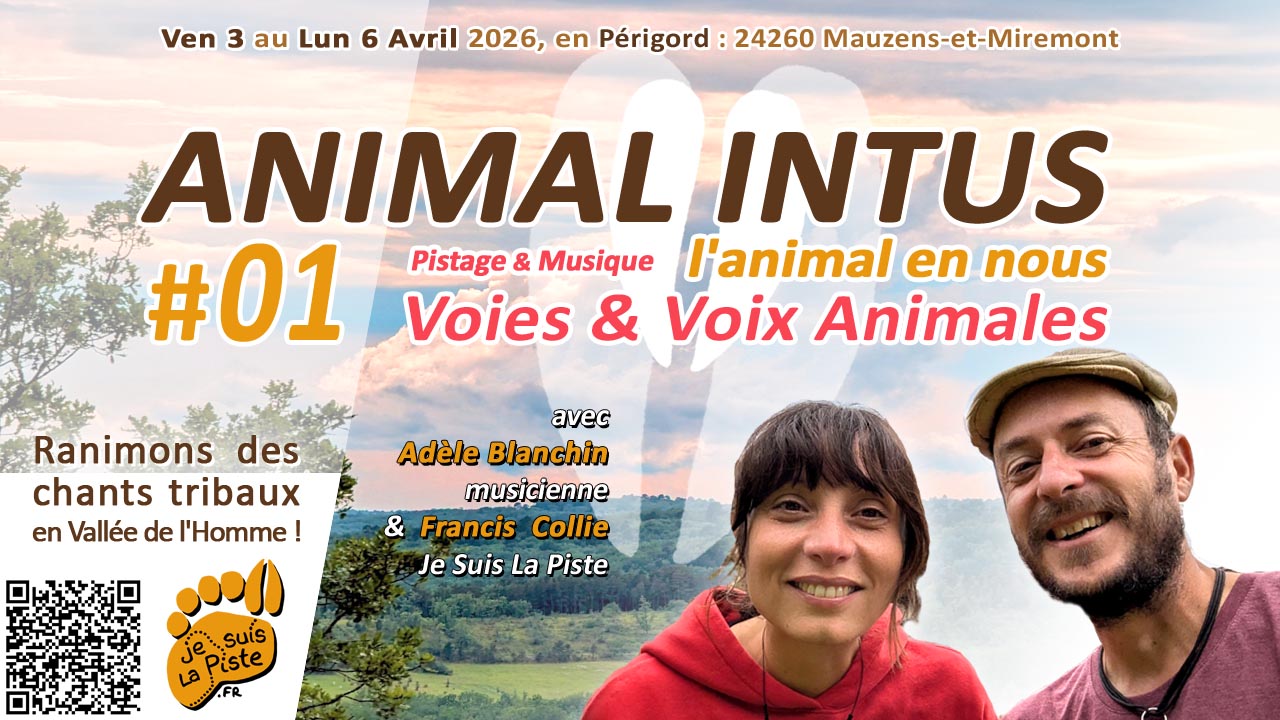 Animal Intus 01 - Pistage & Musique