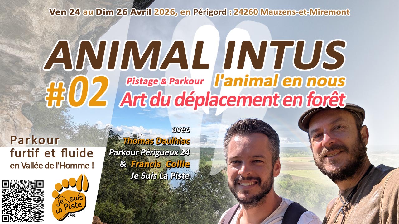 Animal Intus 02 - Pistage & Parkour