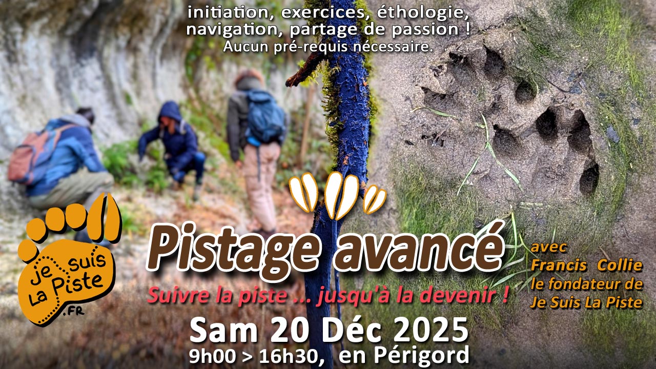 Pistage avancé - 20 Déc 2025
