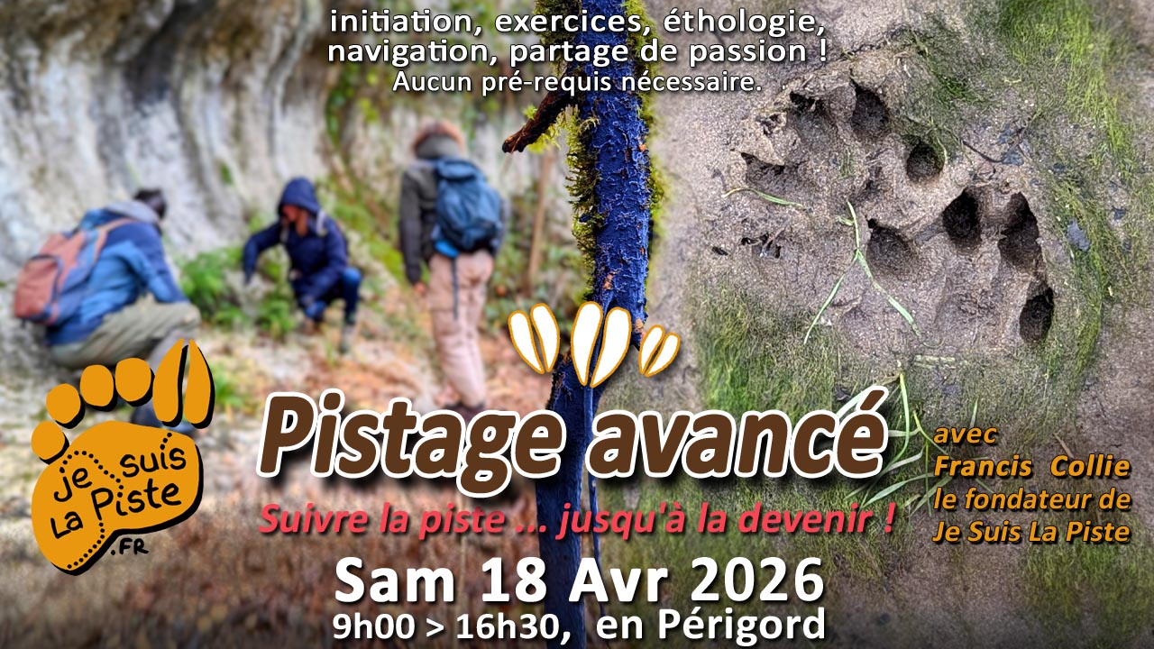 Pistage avancé - 18 Avr 2026